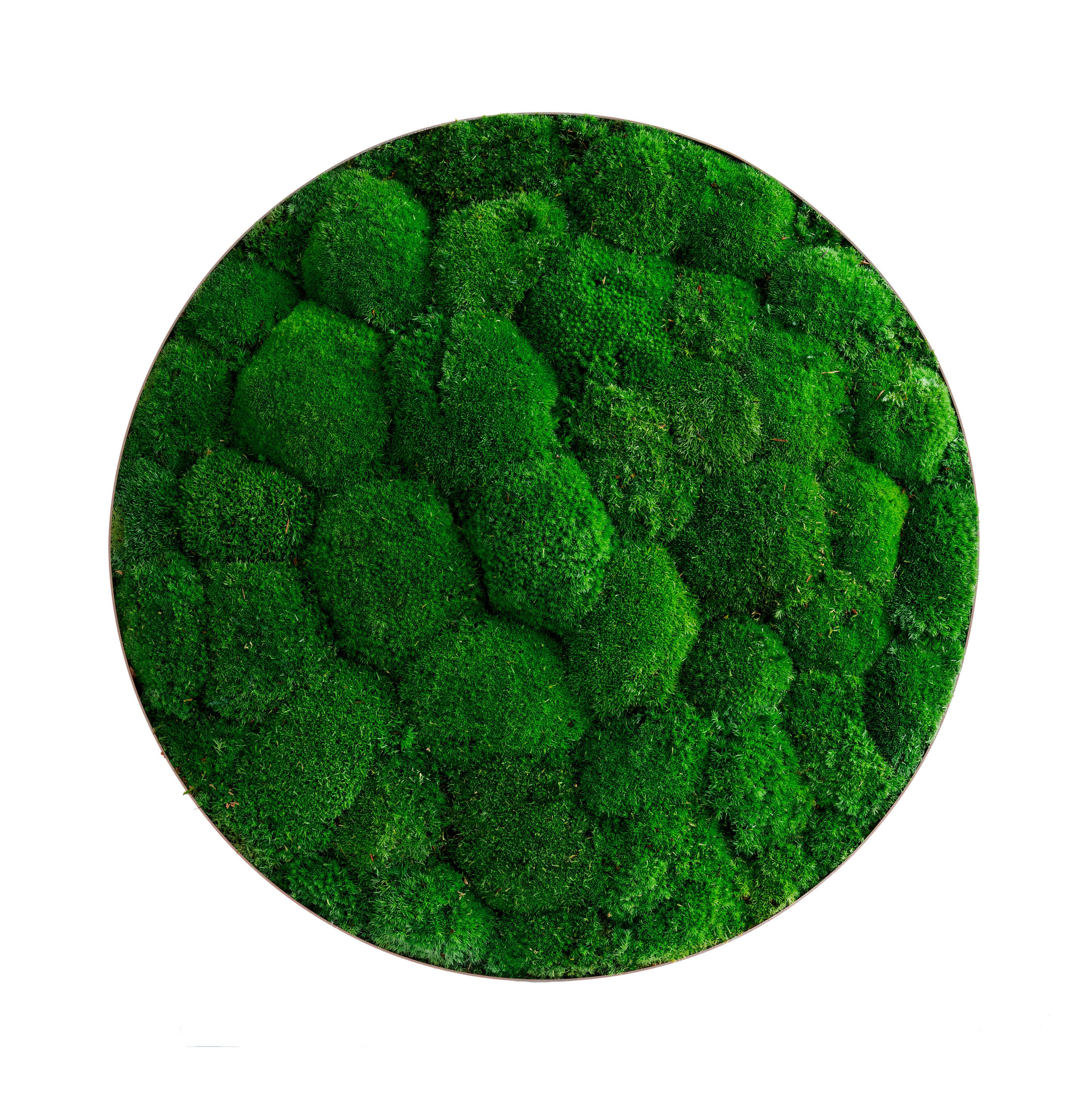 MOOSBILD Stylegreen  - Silberfarben/Grün, Basics, Naturmaterialien/Metall (54/10cm)