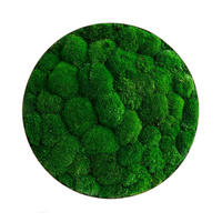 MOOSBILD Stylegreen  - Silberfarben/Grün, Basics, Naturmaterialien/Metall (54/10cm)
