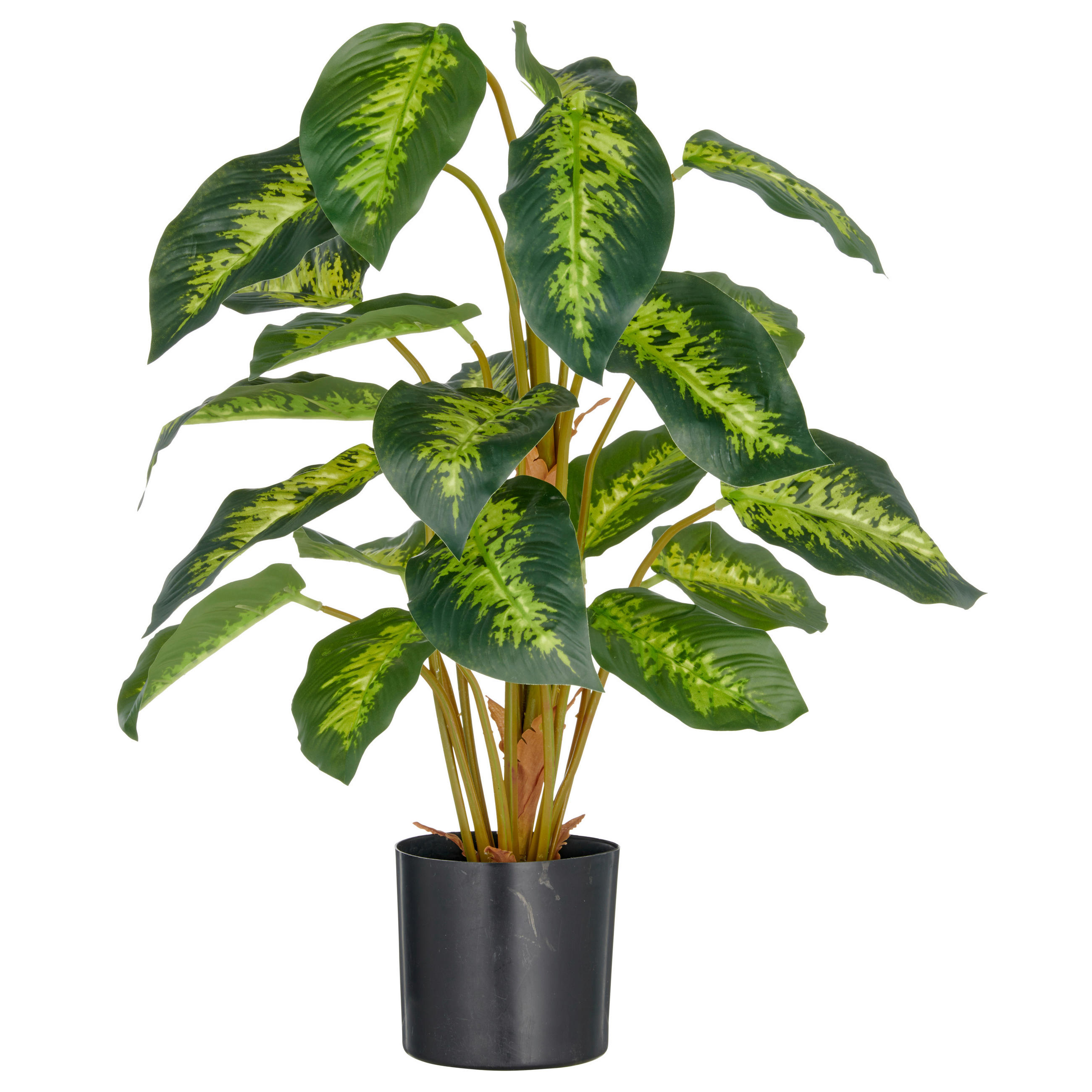 KUNSTPFLANZE 65 cm  - Schwarz/Braun, Basics, Kunststoff (65cm) - P & B