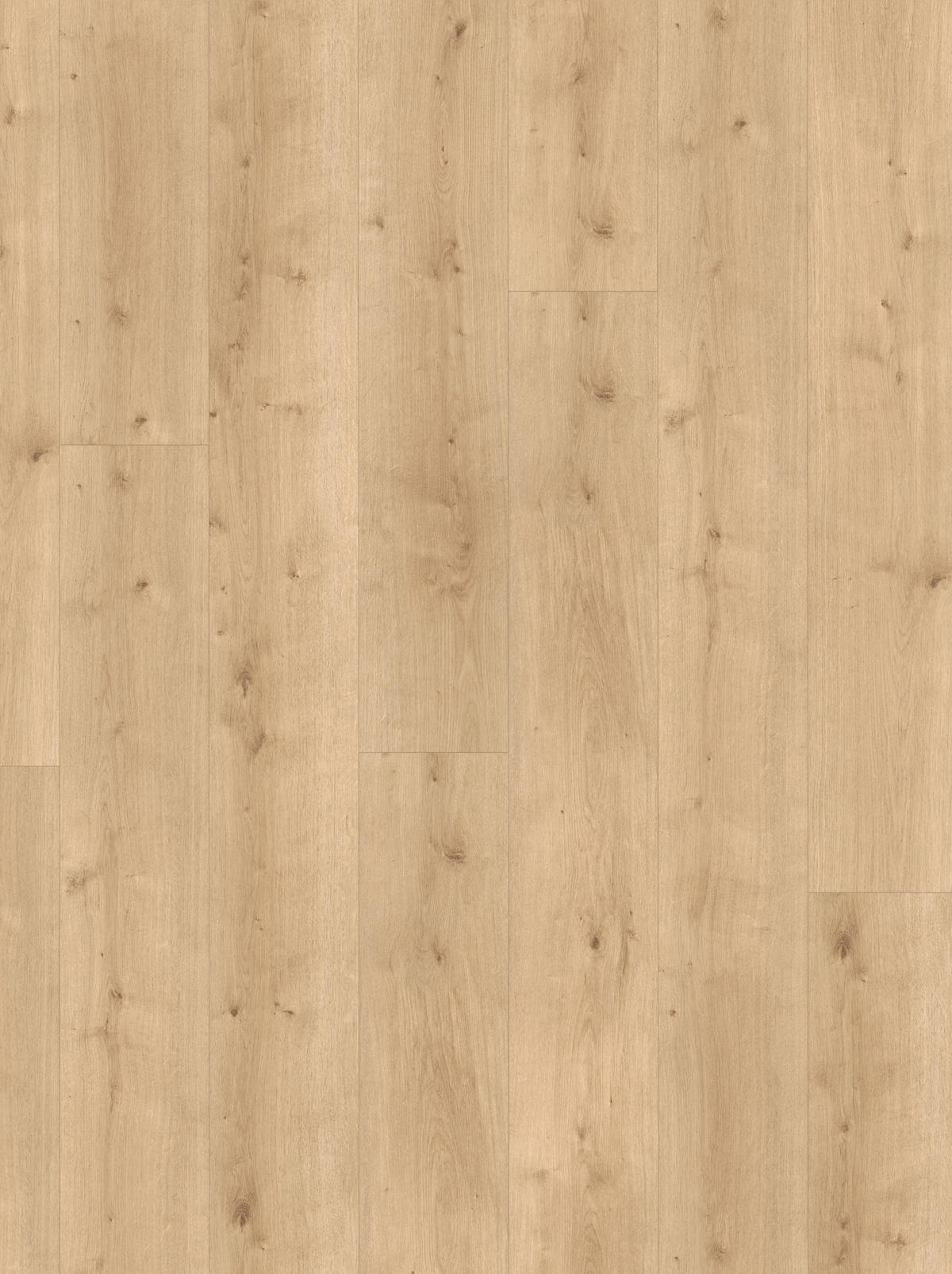 DESIGNBODEN Modular ONE  per  m² - Eichefarben, Design, Holz (220/23.5/0,8cm) - Parador