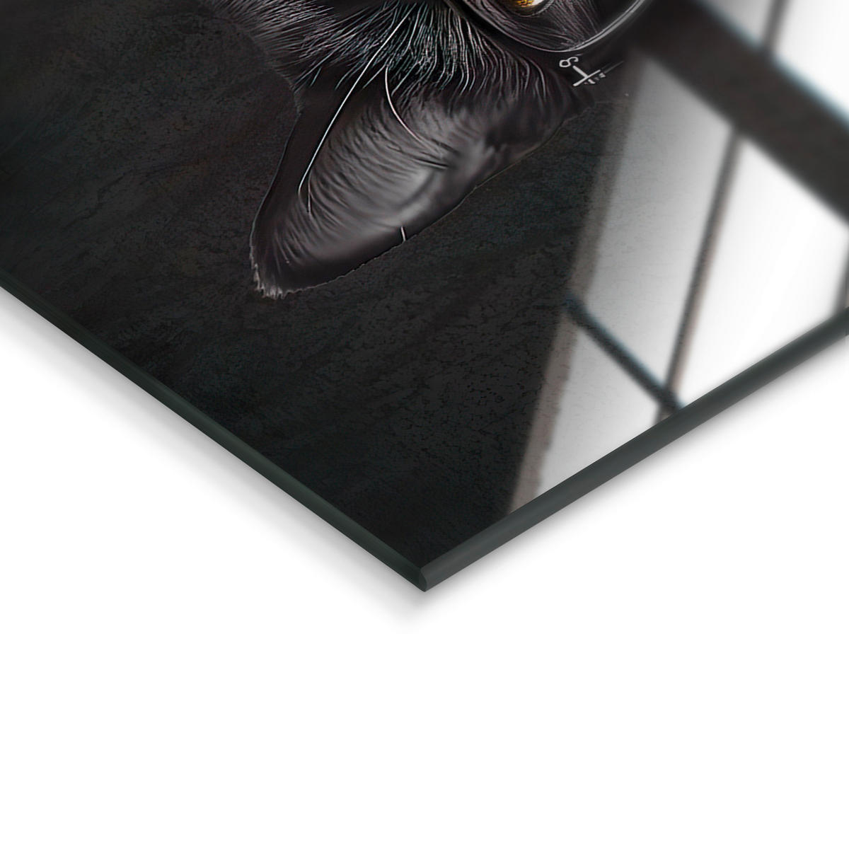 GLASBILD 30/30 cm  - Dunkelgrün/Schwarz, Basics, Glas/Papier (30/30cm) - Monee