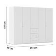 DREHTÜRENSCHRANK in Weiß - Weiß, Design, Holzwerkstoff/Kunststoff (251/197/60cm) - Novel