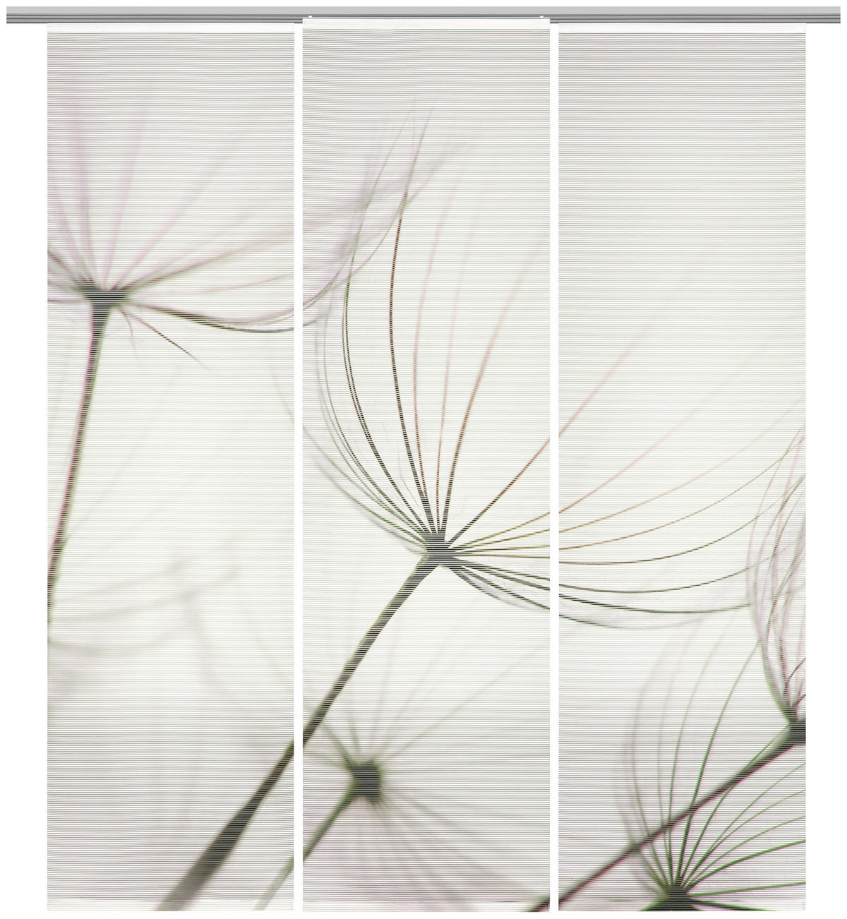 FLÄCHENVORHANG in Grau transparent  - Grau, Design, Textil (60/255cm) - Novel