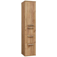 HOCHSCHRANK 35/165/37 cm  - Edelstahlfarben/Alteiche, Design, Glas/Holz (35/165/37cm) - Dieter Knoll