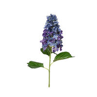 HORTENZIA - Basics (35,00/26,00/100,00cm)