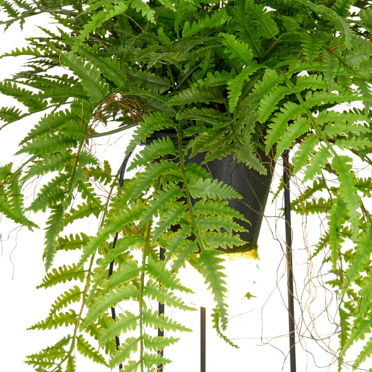 KUNSTPFLANZE Farn 60 cm  - Schwarz/Grün, Basics, Kunststoff/Metall (60cm) - P & B
