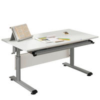 JUGENDSCHREIBTISCH 120/70/53-79 cm Silberfarben, Weiß höhenverstellbar  - Silberfarben/Weiß, Design, Holzwerkstoff/Metall (120/70/53-79cm) - Paidi