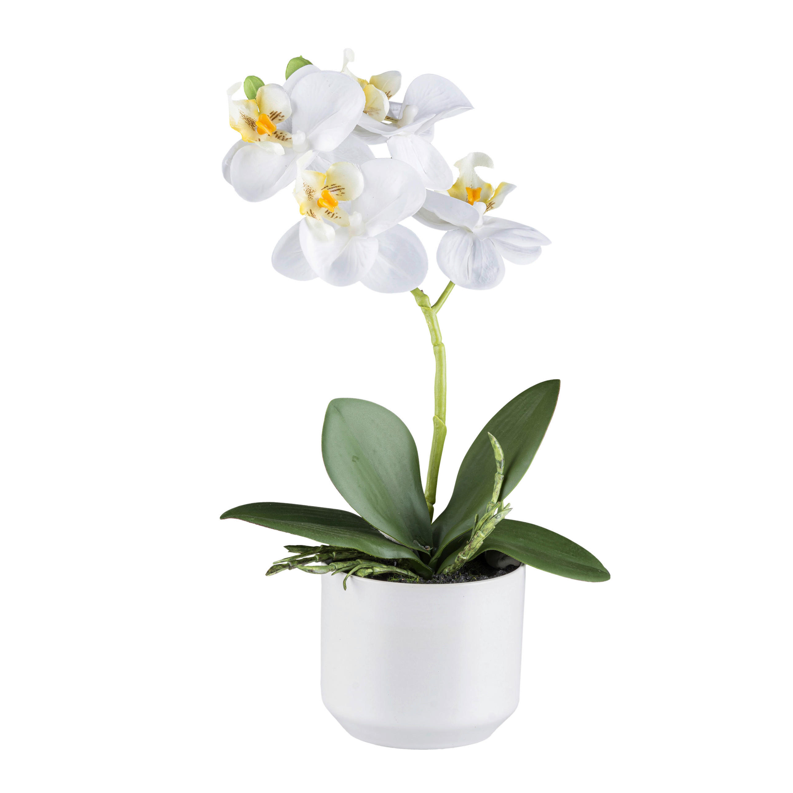 KUNSTPFLANZE Orchidee 27 cm  - Weiß/Grün, Design, Keramik/Kunststoff (27cm) - P & B