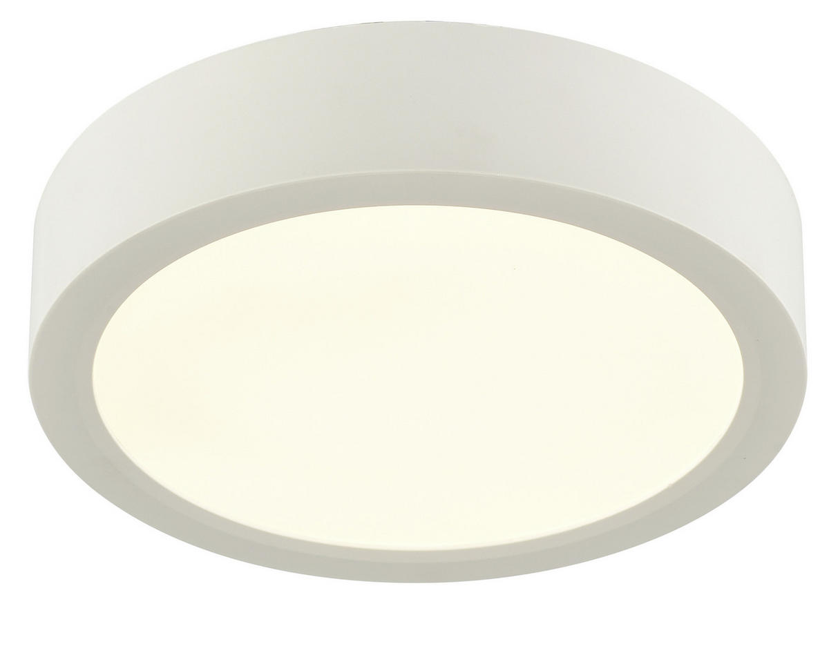 STROPNÍ LED SVÍTIDLO, 17/3,6 cm  - bílá, Konvenční, plast (17/3,6cm) - Boxxx