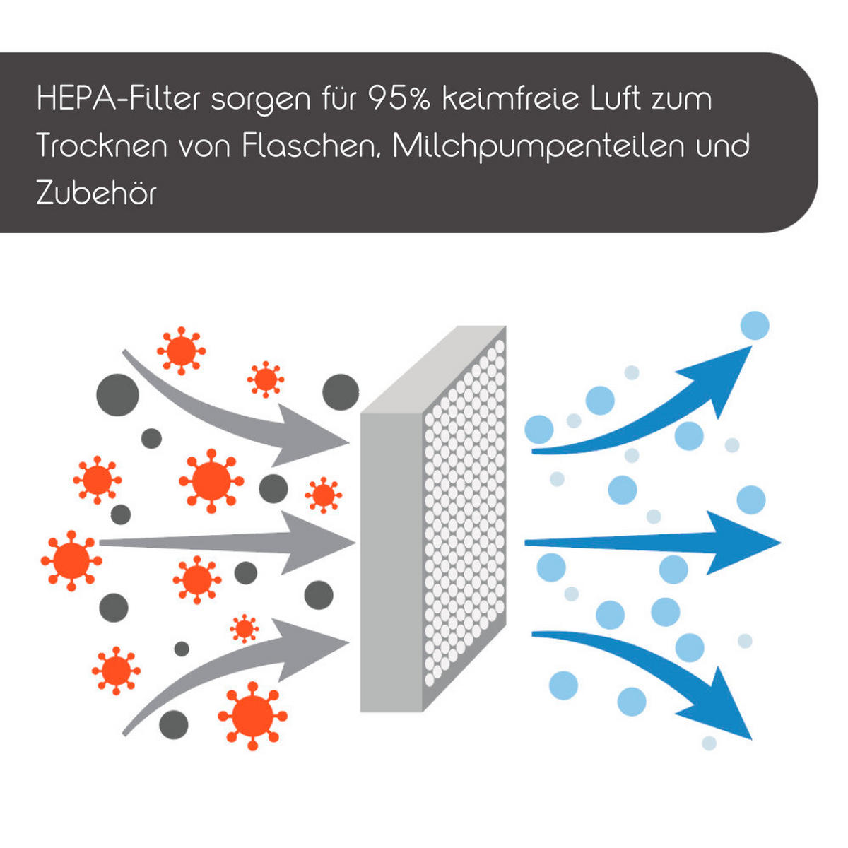DAMPFSTERILISATOR Sterilizer Dryer Advanced  - Basics (30/36,5/22cm) - Baby Brezza