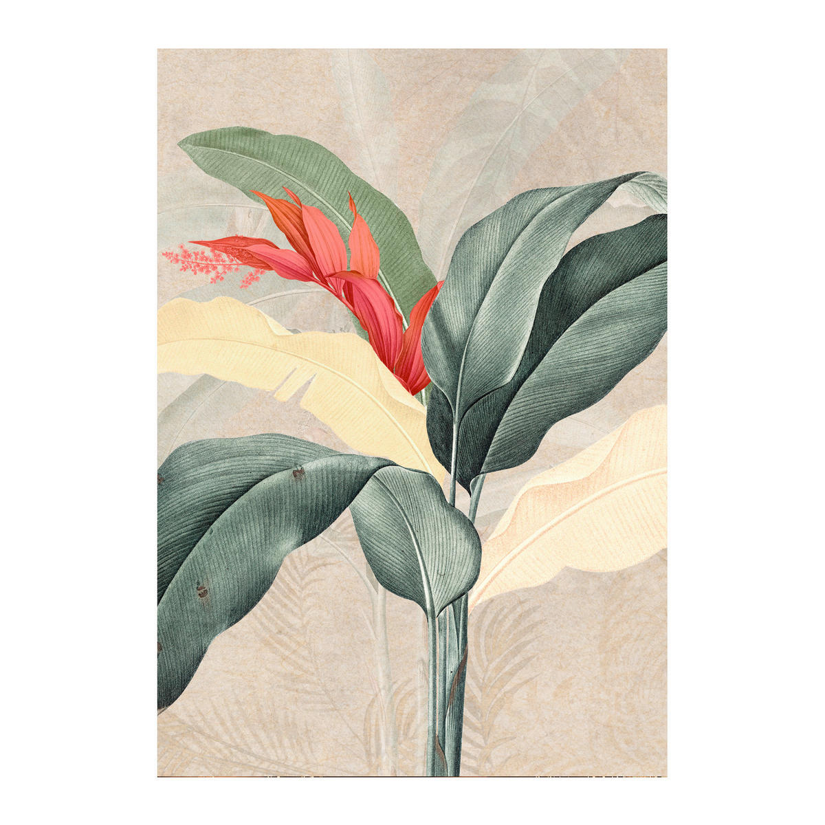 LEINWANDBILD Pflanzen 60/80 cm  - Multicolor, Basics, Holz/Textil (60/80cm)