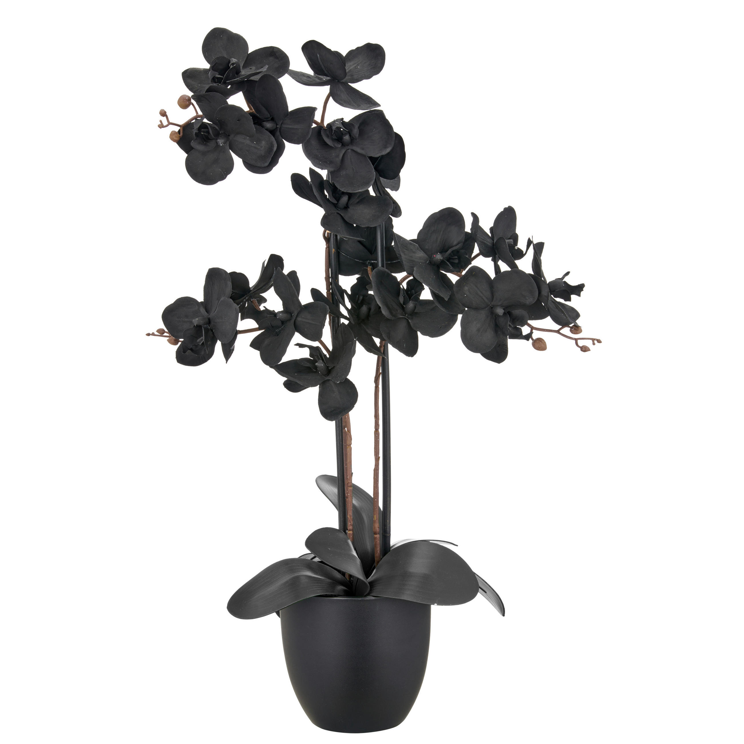 KUNSTPFLANZE 70 cm  - Schwarz, Basics, Kunststoff (70cm) - Ambia Home