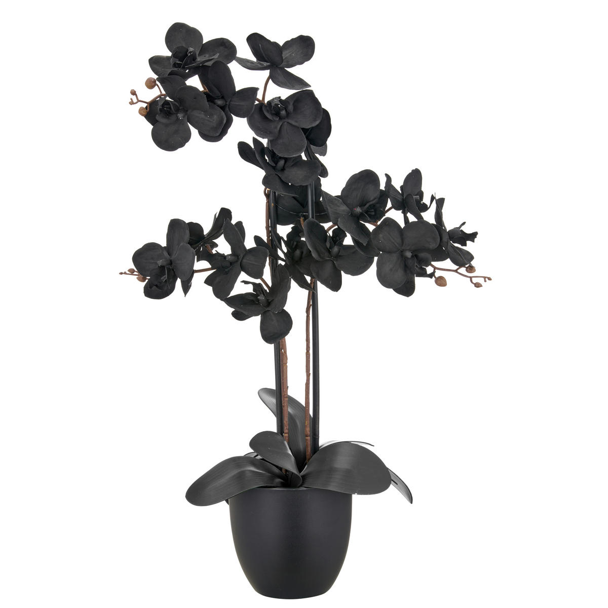 KUNSTPFLANZE 70 cm  - Schwarz, Basics, Kunststoff (70cm) - Ambia Home