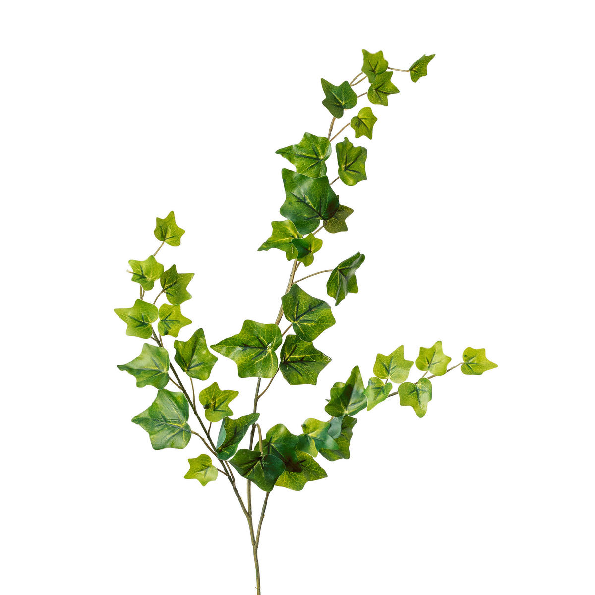 BŘEČŤAN břečťan 65 cm - zelená, Natur, plast (65cm)