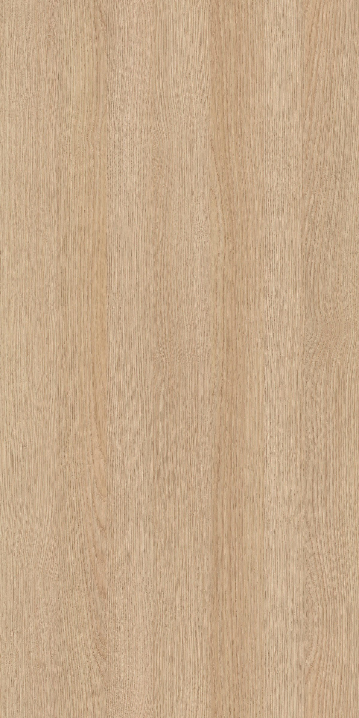 HIGHBOARD  in 120/131/36,5 cm  - Eiche Bianco/Eichefarben, Design, Holz/Holzwerkstoff (120/131/36,5cm) - MID.YOU