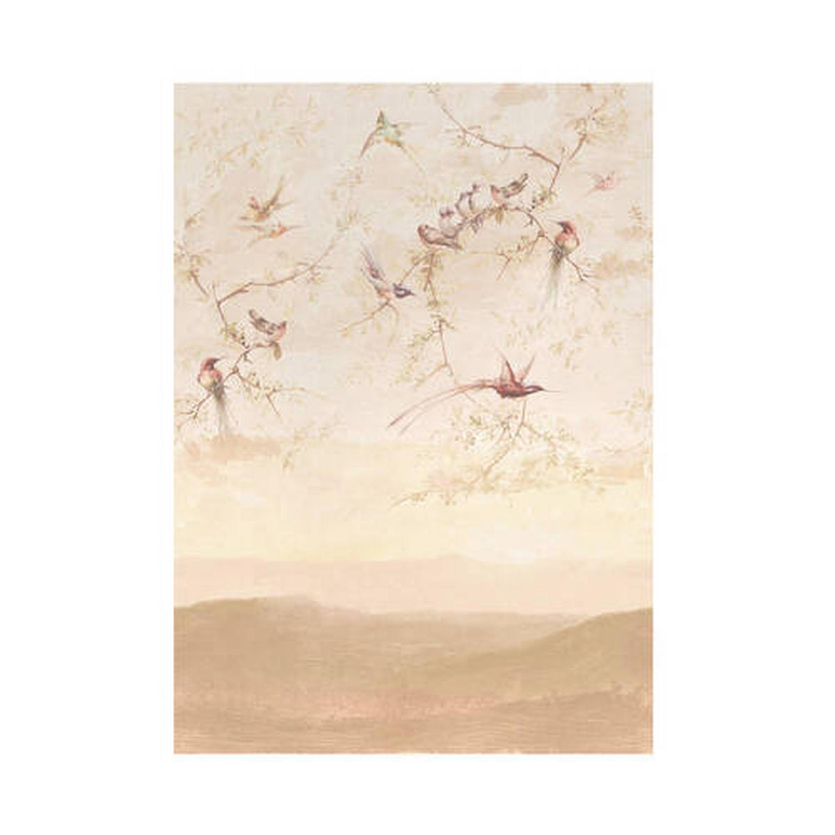 FOTOTAPETE  - Taupe/Pink, Basics, Papier/Kunststoff (200/280cm) - Xora