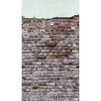 FOTOTAPETA - siva/črna, Trendi, papir (159*280cm)