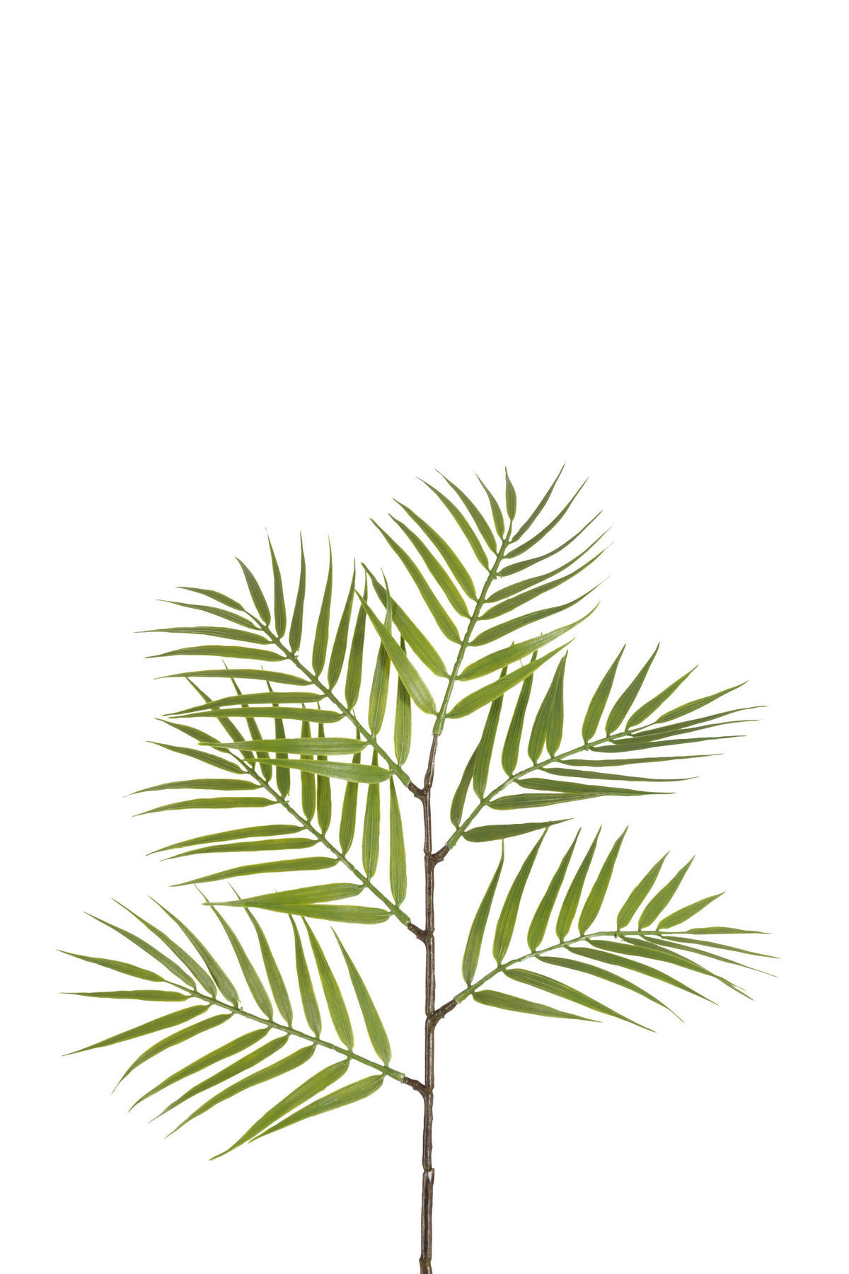 DEKOZWEIG - Braun/Grün, Basics, Kunststoff (26/26/88cm) - Ambia Home