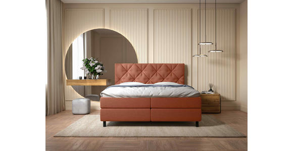 BOXBETT 180/200 cm  in Terracotta  - Terracotta/Schwarz, Design, Holz/Holzwerkstoff (180/200cm) - Esposa