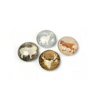MAGNETSET  - Multicolor, Basics, Glas (3,5/1,3cm)
