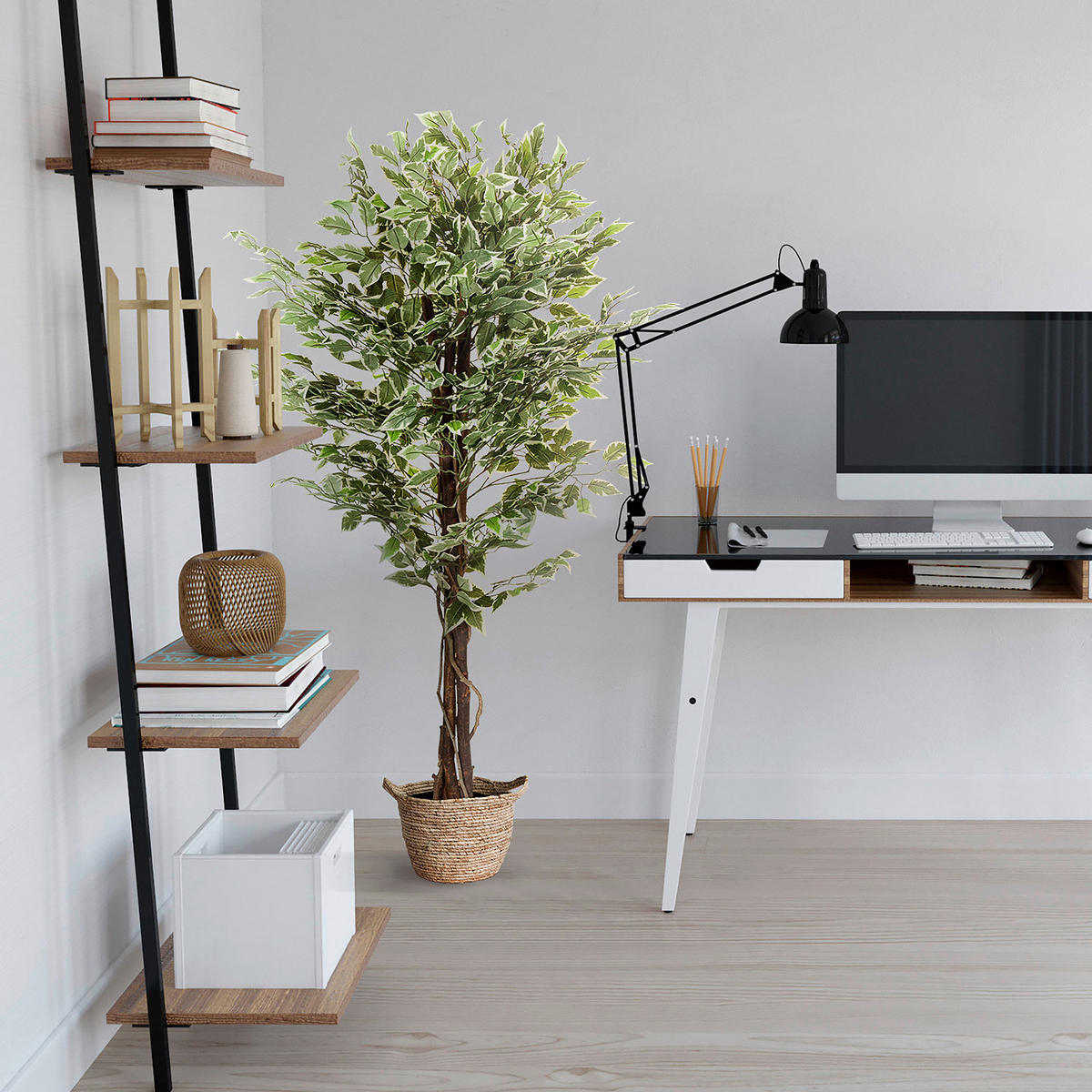 KONSTVÄXT Ficus Benjamina  - vit/grön, Basics, plast (80/165/80cm) - MID.YOU