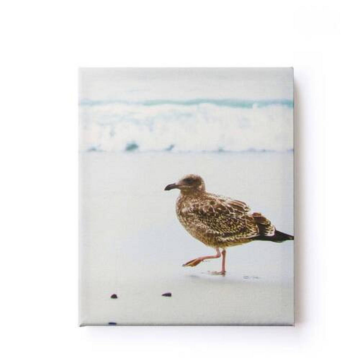 LEINWANDBILD Landschaft & Natur 80/60/2.5 cm  - Multicolor, Basics, Wellpappe/Textil (80/60/2.5cm)