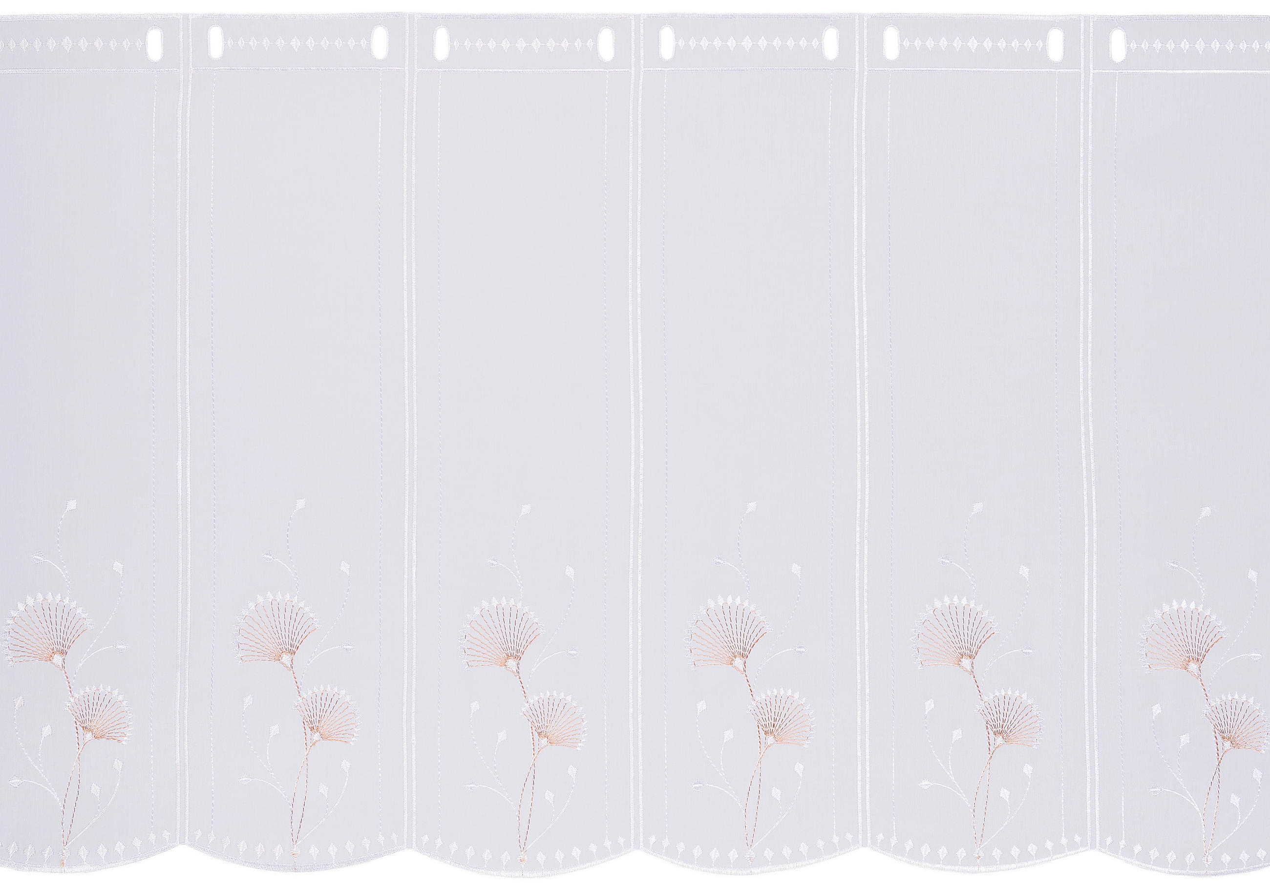 SCHEIBENGARDINE 60 cm   - Kupferfarben, KONVENTIONELL, Textil (60cm) - Esposa