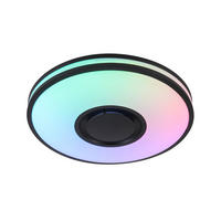 LED PLAFONJERA Riku  - crna, Osnovno, metal/plastika (39/8,5cm) - Novel