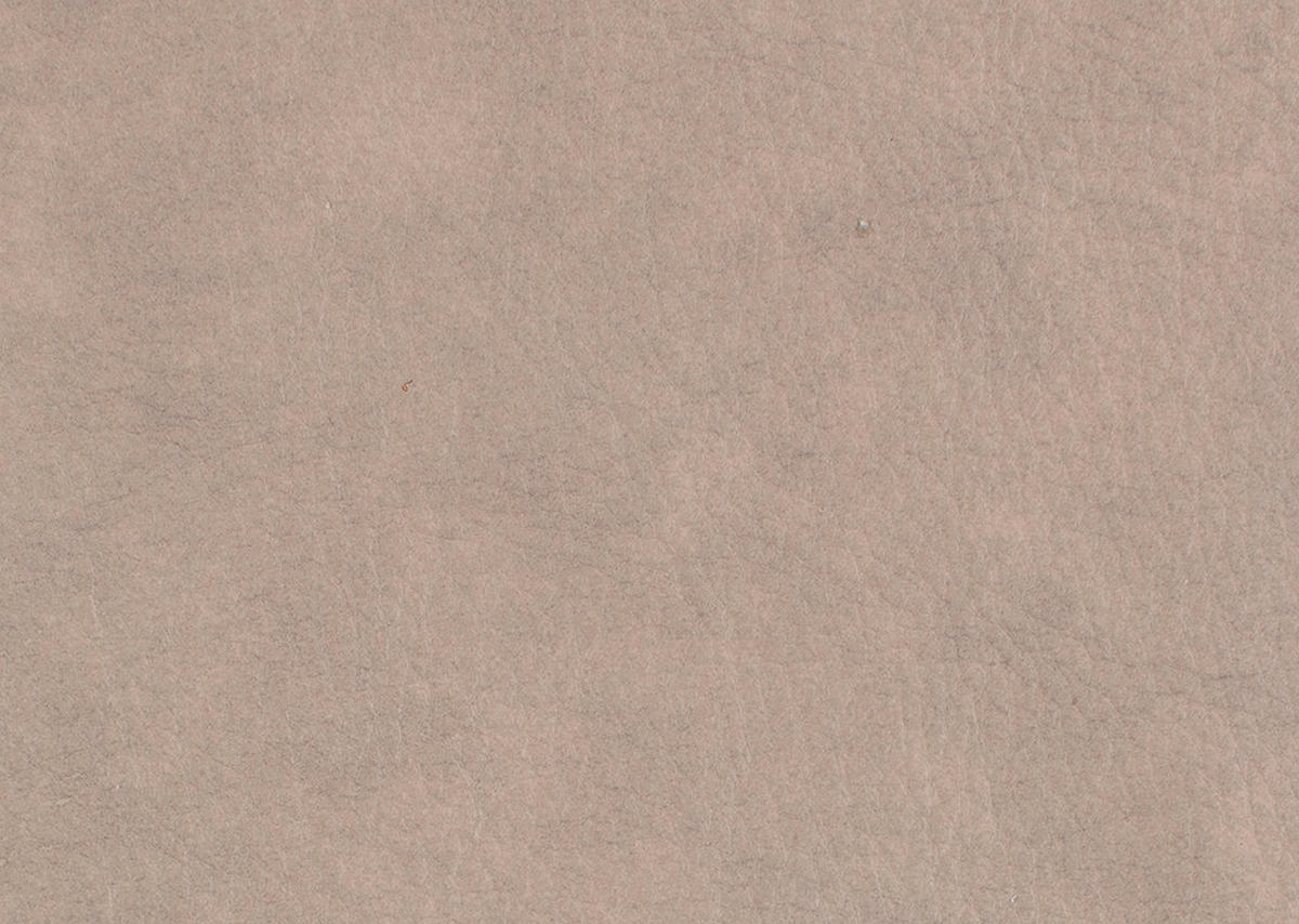 2,5-SITZER in Echtleder Creme  - Anthrazit/Creme, Design, Leder/Metall (194/94/95cm) - Himolla