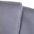 CHEFSESSEL Lederlook Grau, Silberfarben  - Silberfarben/Weiß, Design, Kunststoff/Textil (65/109-119/65cm) - Carryhome