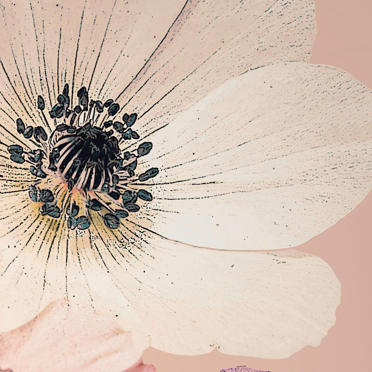 WENDEBETTWÄSCHE Satin 140/200 cm  - Beige, Textil (140/200cm) - Bio:Vio