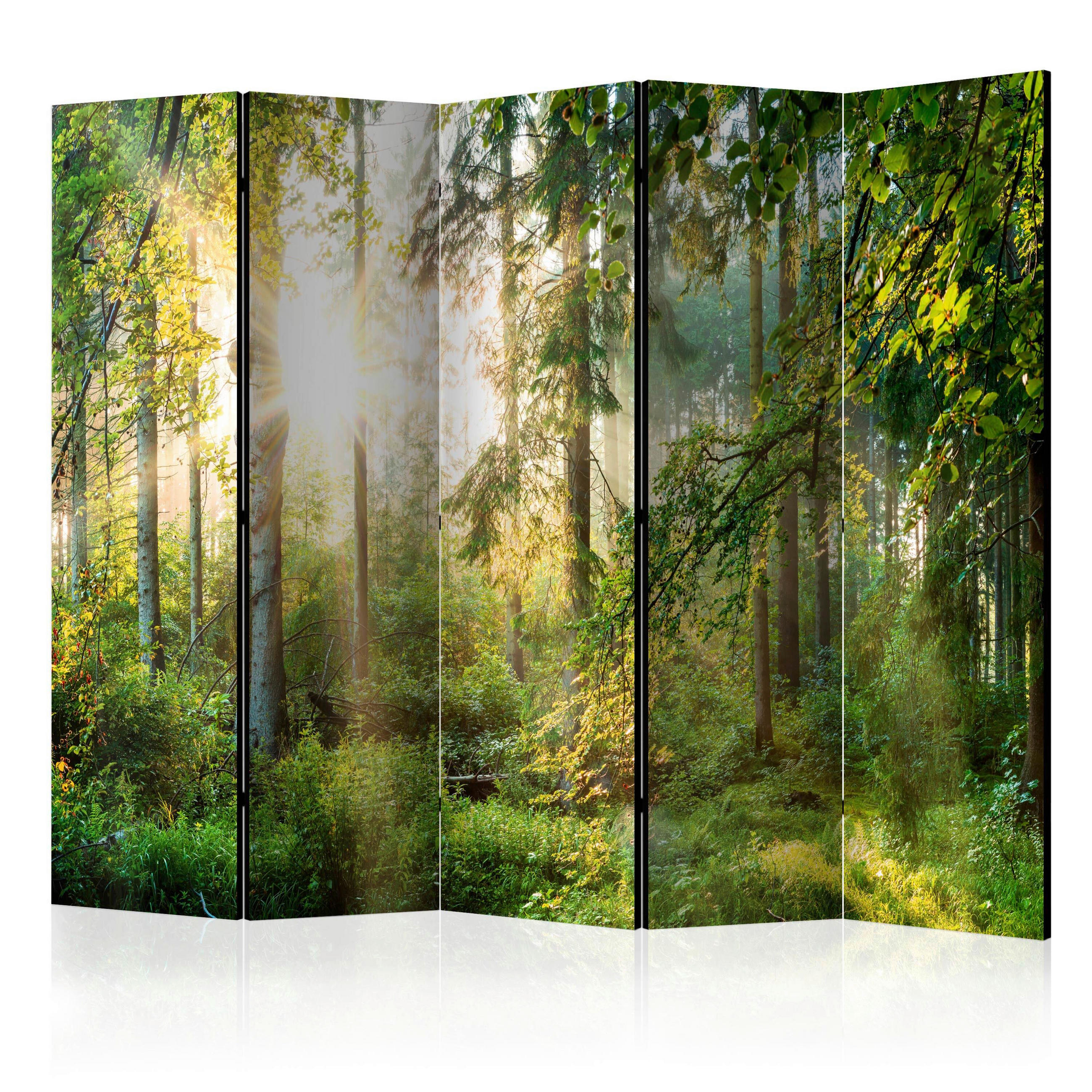 PARAVENT mit 5  Flügel - Dunkelgrün/Hellgrün, Basics, Holz/Textil (225/172/3cm) - artgeist