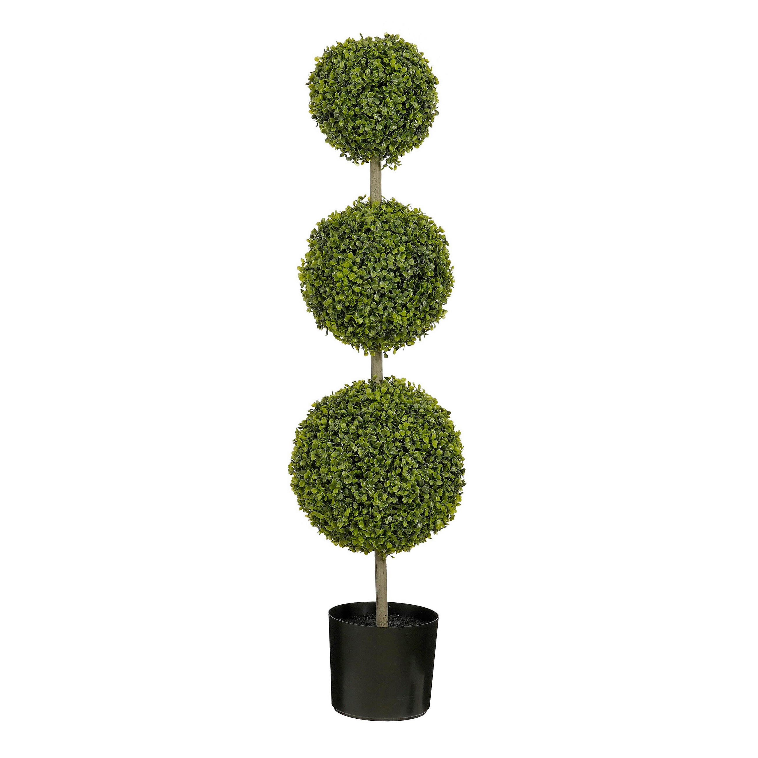 ŠIMŠIR        30/120 cm      - zelena, Osnovno (30/120cm)