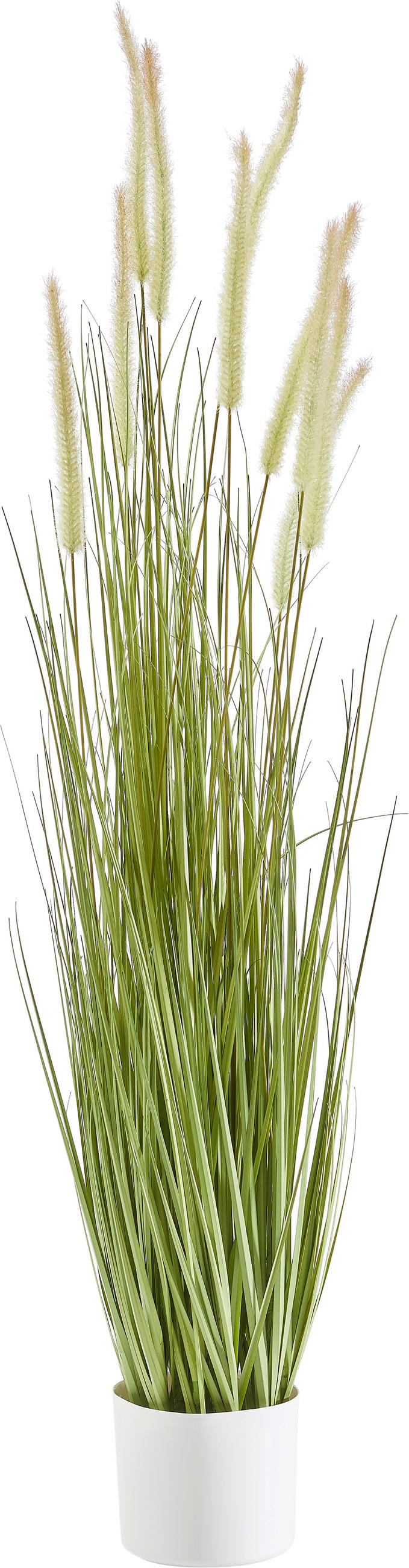 KUNSTPFLANZE 120 cm  - Basics (120cm) - Ambia Home