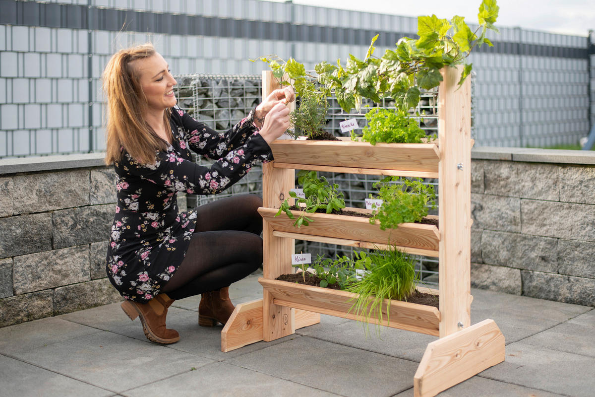 GARTENREGAL Holz  - Lärchefarben, Basics, Holz (80/95/50cm) - Ambia Garden