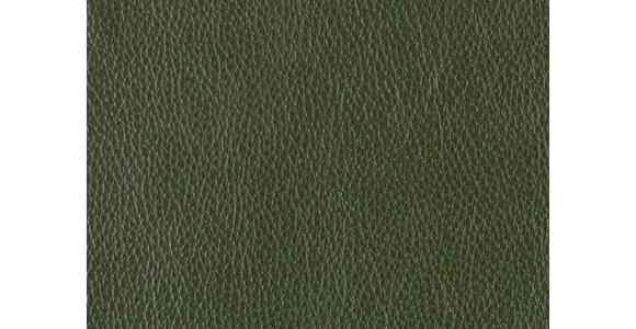 2,5-SITZER in Leder Thymiangrün - Thymiangrün/Schwarz, Design, Leder/Metall (200/102/92cm) - Johann Jakob