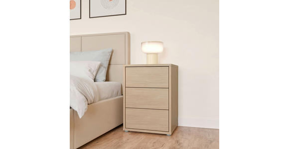 NACHTSCHRANK 50/69/42 cm  - Eichefarben/Silberfarben, Trend, Holzwerkstoff/Kunststoff (50/69/42cm) - Carryhome