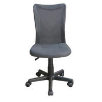 KANCELARIJSKA STOLICA  siva   - siva, Dizajnerski, drvo/tekstil (42/88-98/58,5cm) - Xora