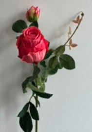 ROSE - Rot/Rosa, Basics, Kunststoff (80cm)
