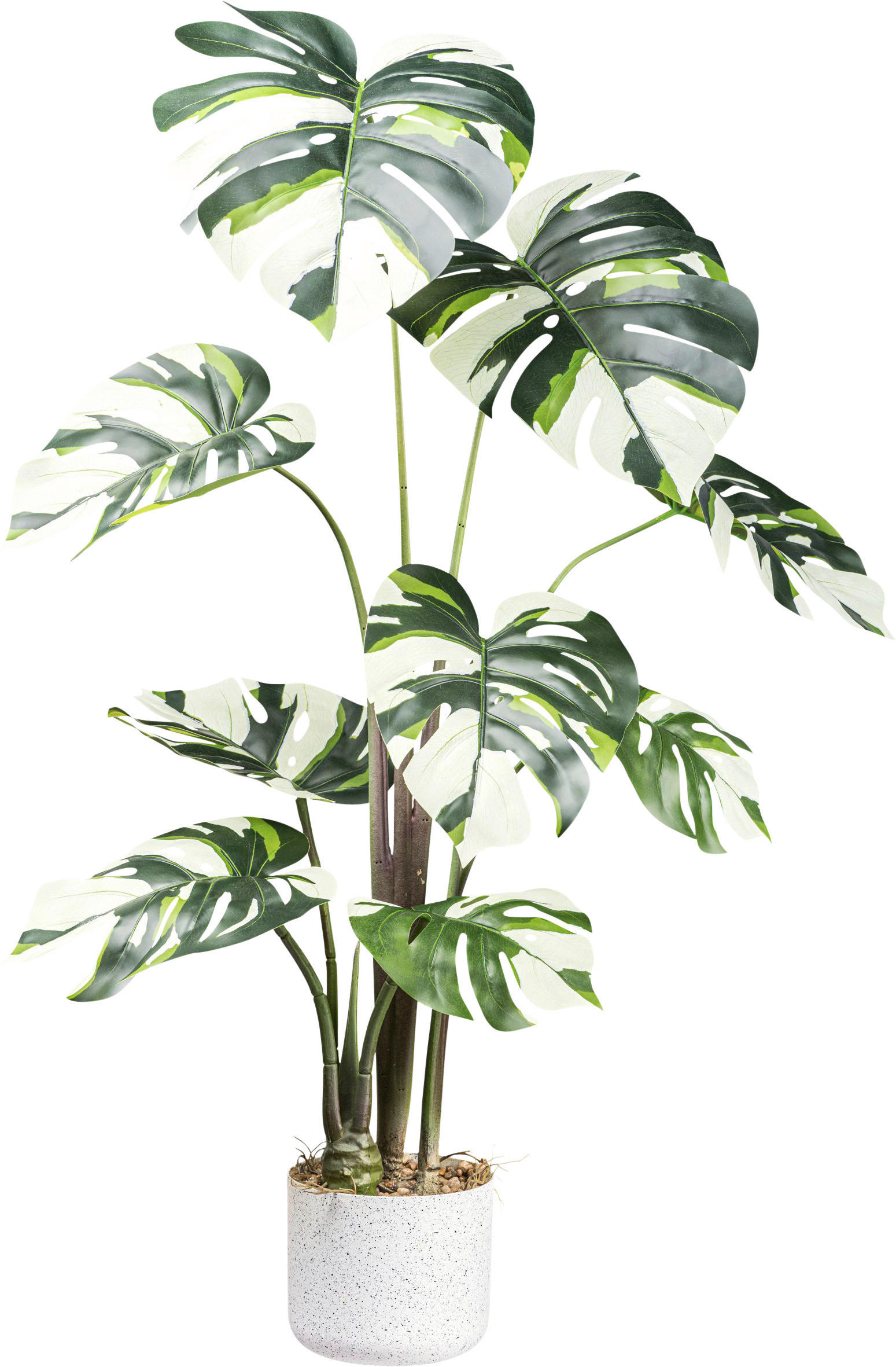 KUNSTPFLANZE 100 cm  - Weiß/Grün, Design, Kunststoff (100cm) - P & B