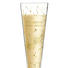 CHAMPAGNERGLAS - Klar, LIFESTYLE, Glas (0,2l) - Ritzenhoff CHAMPAGNERGLAS - Klar, LIFESTYLE, Glas (0,2l) - Ritzenhoff