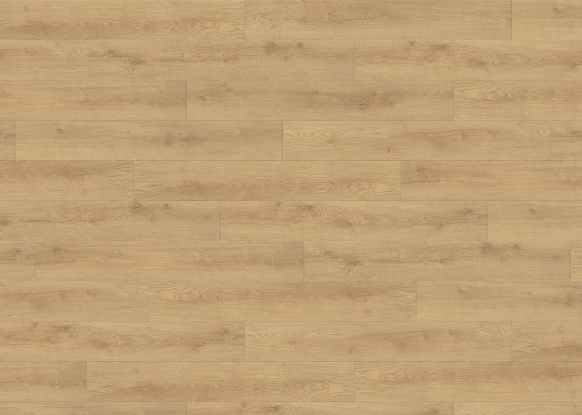LAMINATBODEN Living by HARO Laminat Sonderedition NKL 31  per  m² - Eichefarben, Basics, Holzwerkstoff (19.3/128.2cm) - Living by HARO