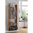 GARDEROBENSCHRANK Strukturbuche furniert lackiert Braun, Buchefarben - Buchefarben/Alufarben, Design, Glas/Holz (62/186/31cm) - Dieter Knoll