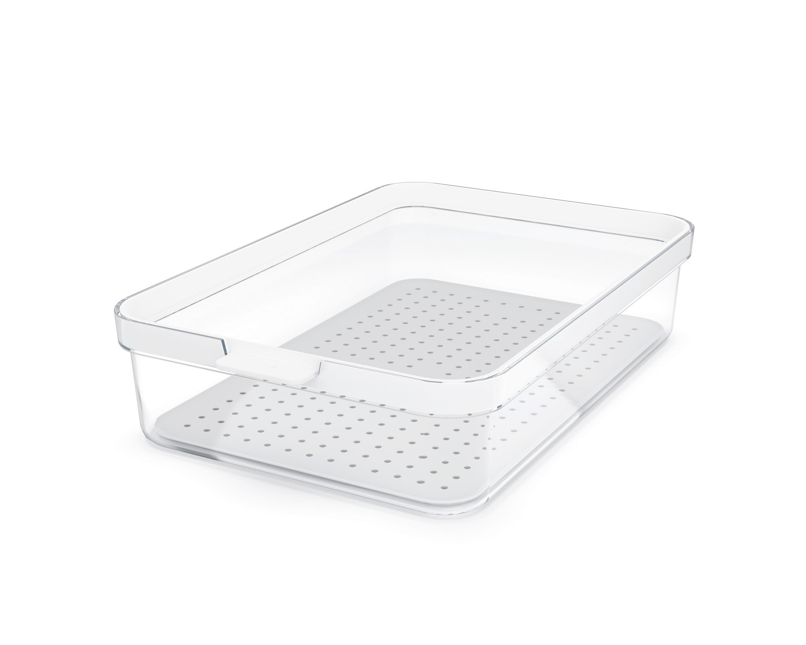 KÜHLSCHRANKBOX  - Klar/Weiß, Basics, Kunststoff (28,2/18,4/6,2cm) - Rotho