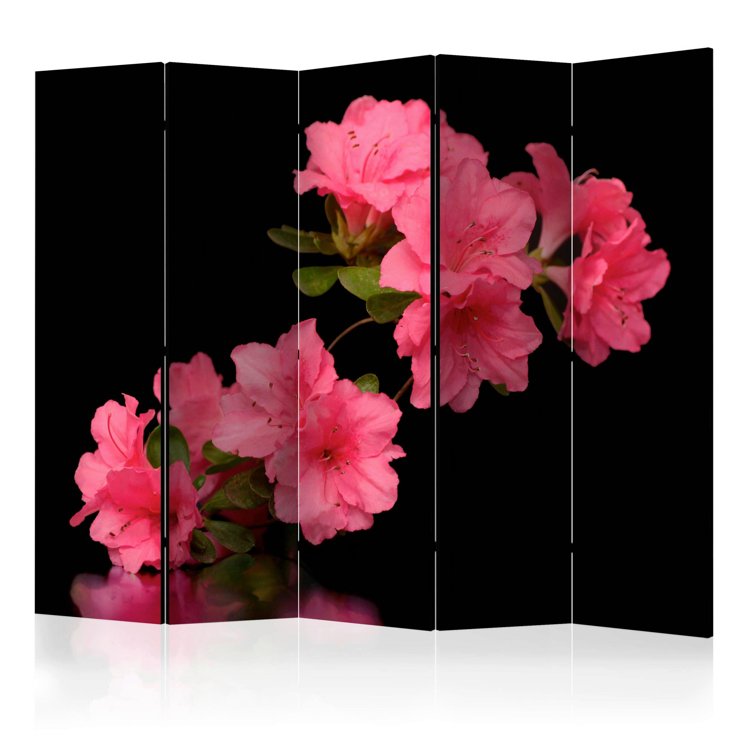 PARAVENT mit 5  Flügel - Pink/Schwarz, Basics, Holz/Textil (225/172/3cm) - artgeist