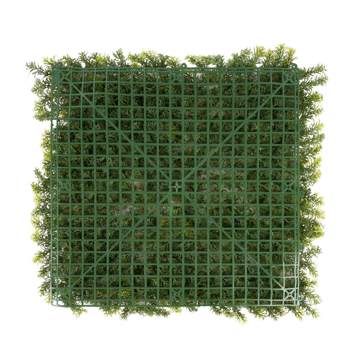 Wandverkleidung Pflanzenwand  - Waldgrün/Dunkelgrün, Trend, Kunststoff (50/50cm) - Floordirekt