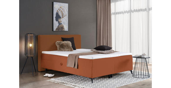 BOXBETT 160/200 cm in Rostfarben - Rostfarben/Schwarz, Design, Holz/Holzwerkstoff (160/200cm) - Xora