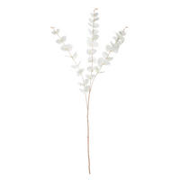 KUNSTPFLANZE Eukalyptus  - Weiss, Basics, Kunststoff (100cm)