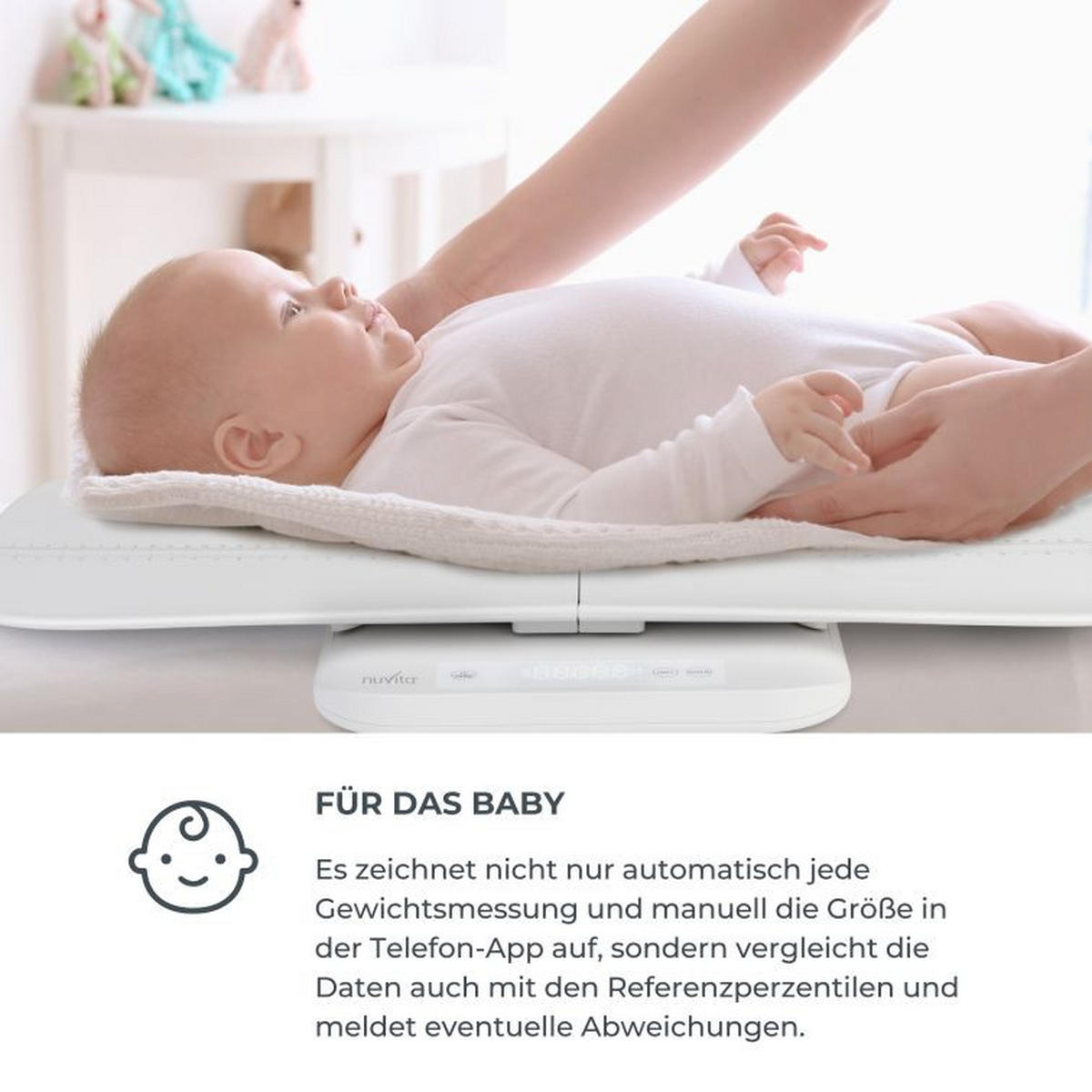 BABYWAAGE  - Basics (30/4/40cm)
