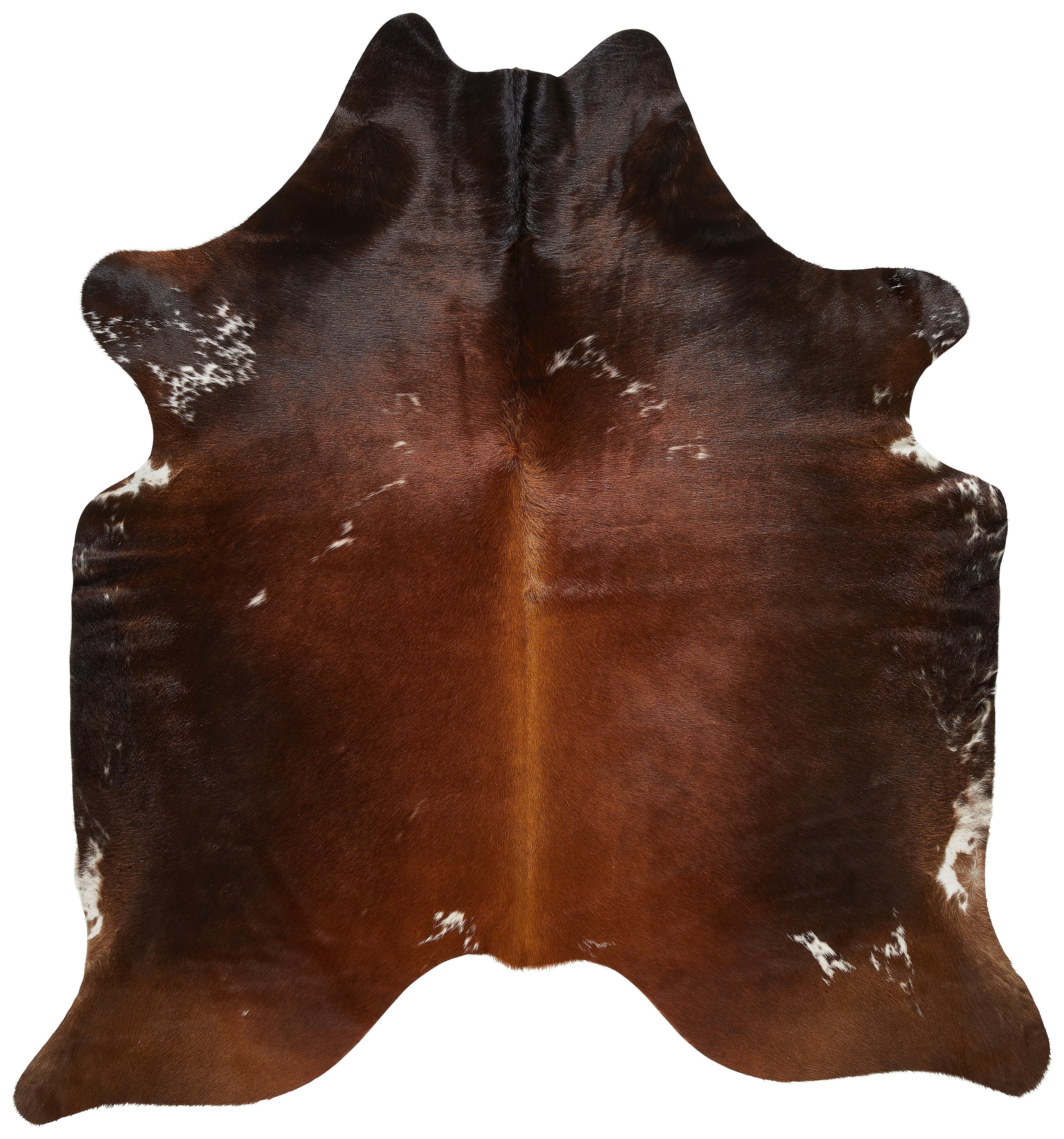 RINDERFELL 160/250 cm  - Braun/Naturfarben, Basics, Leder/Fell (160/250cm) - Linea Natura